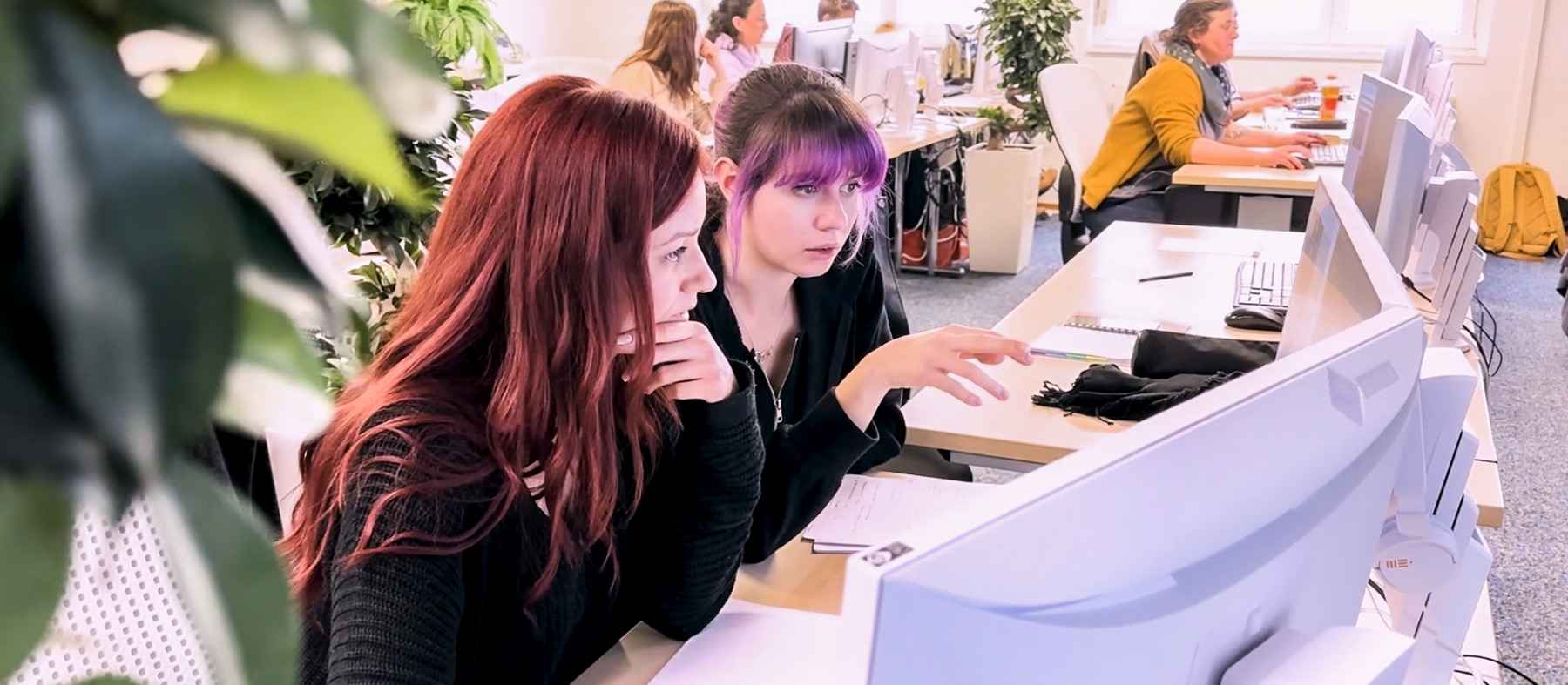 Bild - Impressionen Web und Mediapublisher - Besprechung CSS-Animation*Fru (28) Grafikerin